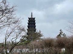 -上海方塔园