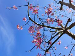 -福州大学(旗山校区)