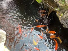 -华园农庄·特色炭烧鸡·北江河鲜