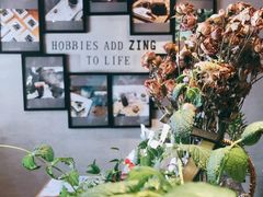 -ZING COFFEE 镜咖啡