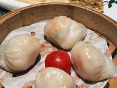 -新兴·金羊座·粤菜点心(乐峰店)