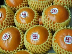-菜园坝水果市场