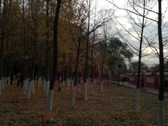 -长白岛森林公园