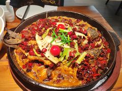 -老板恋上鱼(振华商厦店)