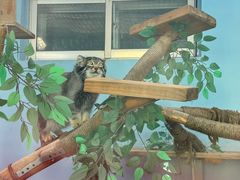 -青藏高原野生动物园