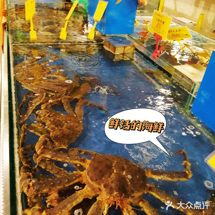 火爆京城的广式大排档！肥福排档，人均200实现鱼翅自由啦！