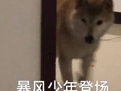 -土著渔匠·养生蝴蝶鱼(香樟路店)