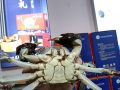 -阳澄湖大闸蟹·琼灵阁牌品牌连锁(吴中总店)