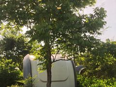 -盐官日光域房车营地·有盐餐厅