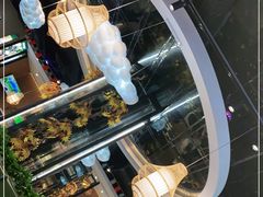 -龙泉人椰子鸡·糟粕醋·地标海南菜(龙昆南店)