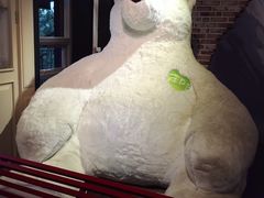 泰迪熊博物馆-济州岛泰迪熊博物馆