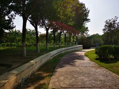 -北京国家会计学院