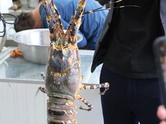 -金源餐馆