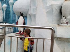 -白鹿仓冰雪海洋世界