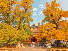 -北京石刻艺术博物馆
