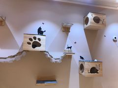 -Pets First伊珊娜洗护·精致美容·家庭式寄养(新会路店)