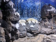 -郑州海洋馆