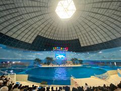 -泉城欧乐堡海洋极地世界