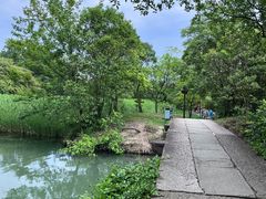 -西溪国家湿地公园