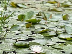 -昆山城市生态森林公园