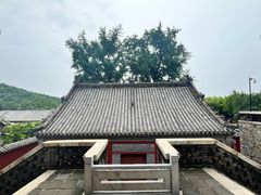 -泰山风景名胜区-普照寺