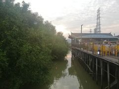 -崖口红树林海鲜餐厅
