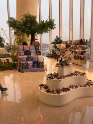 点击看大图 -IMON·HANSA潮玩玩偶毛绒玩具(通州万象汇店)