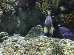 -福州罗源湾海洋世界旅游区