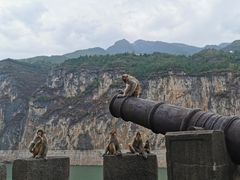 -白帝城·瞿塘峡景区