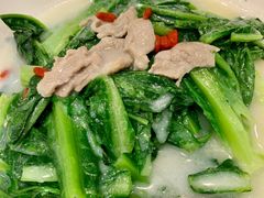 粥水油麦菜。-金满楼(天河中路店)