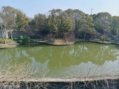 -朴园