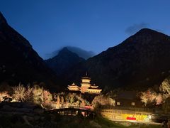 -禅宗少林·音乐大典