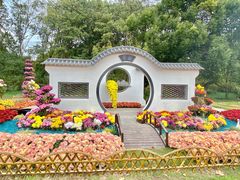 -上海共青森林公园