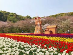 -苏州上方山国家森林公园