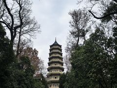 -灵谷景区