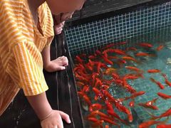 -水晶之星洗浴温泉汗蒸