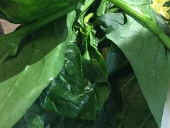 -新辣道鱼火锅(世纪金源购物中心店)