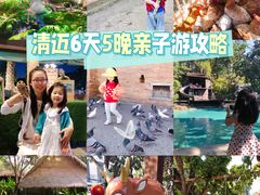 -清迈夜间动物园