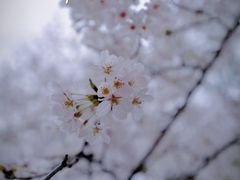 -南浦大桥长途旅游客运站