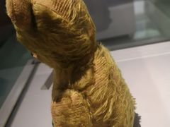 -成都泰迪熊博物馆