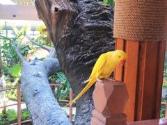 -南宫五洲植物乐园