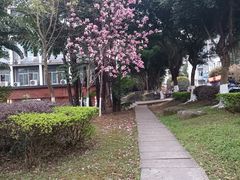 -四川师范大学（成龙校区）-图书馆