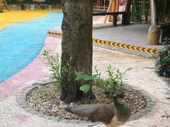 -柳州市动物园