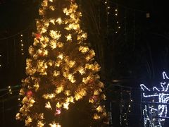 -宝莱纳啤酒花园餐厅PAULANER BRAUHAUS Nanjing(广州路店)