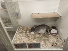 -龙猫仔乐园(惠福东路店)