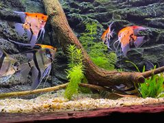 -上海海洋水族馆