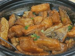 -长平肥姐白粥·海鲜打冷