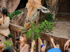 -长鹿旅游休博园