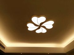 -欧普照明(红星美凯龙浦江店)