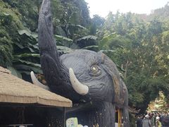 -野象谷景区